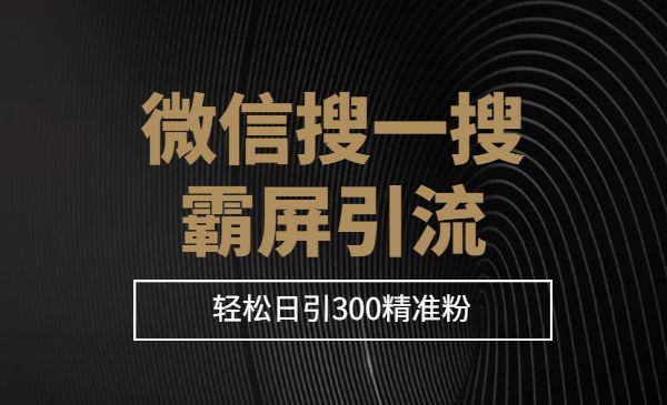 微信搜一搜霸屏引流课，被动精准引流，轻松日引300精准粉