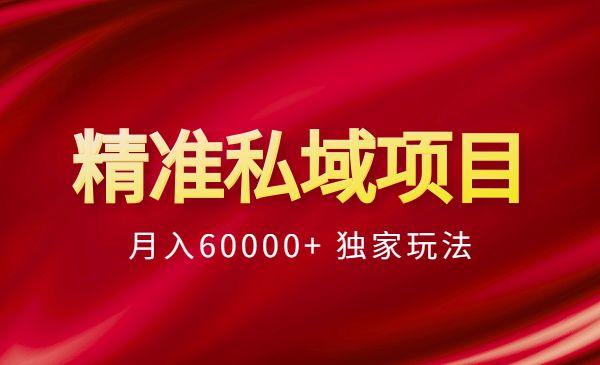 精准私域项目 月入60000+ 独家玩法