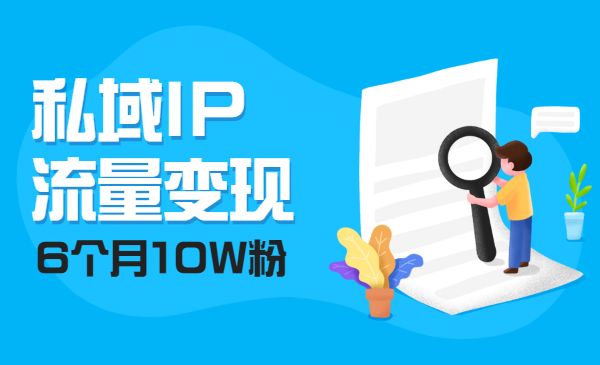 私域IP流量变现视频课，6个月10W粉