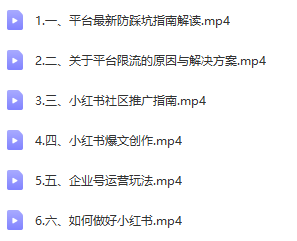 小红书穿透式营销收割攻略+防踩坑+推广+引爆流量+爆文创作