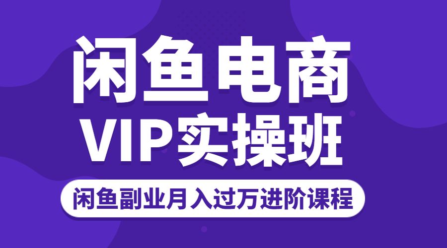 闲鱼电商VIP实操班 闲鱼副业月入过万进阶课程