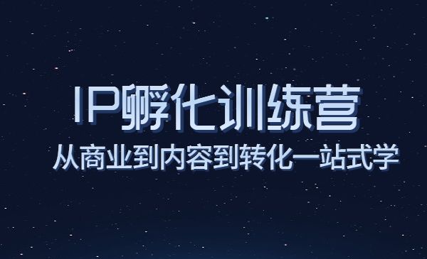商业IP孵化训练营，从商业到内容到转化一站式学