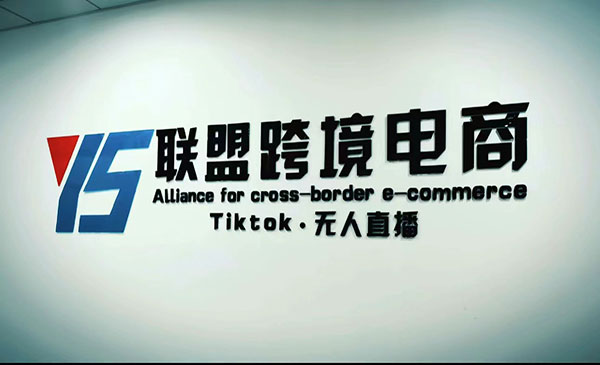 YS联盟·《Tiktok无人直播》不出镜不剪辑不拍摄不发货无售后的跨境短视频躺赚玩法