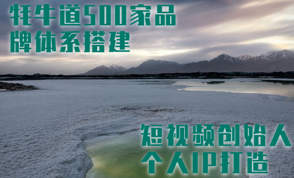 牛牛·牦牛道500家餐饮品牌搭建&短视频深度解析，价值3998元