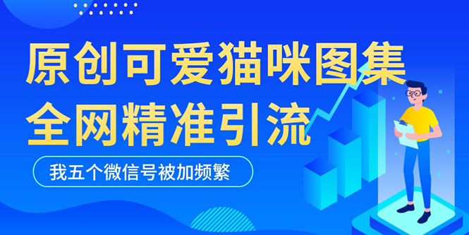《纯原创可爱猫咪图片全网精准引流》黑科技，实操5个VX号被加频繁