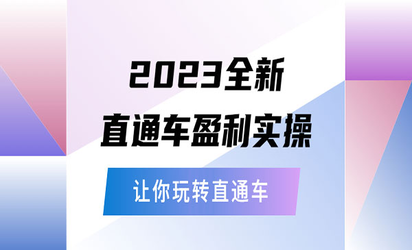 玺承·《2023全新直通车盈利实操》从底层策略到搭建，让你玩转直通车
