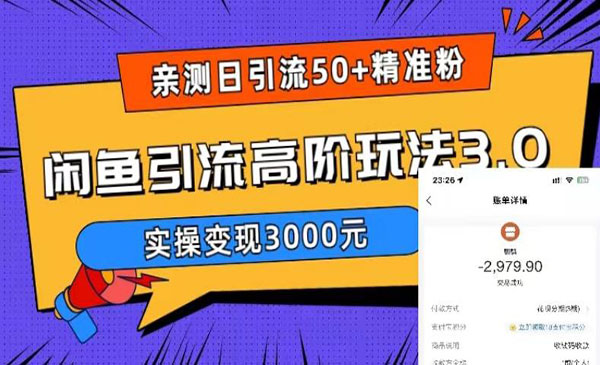 麒麟·《闲鱼引流高阶玩法3.0》实测日引50+精准粉，实操变现3000元