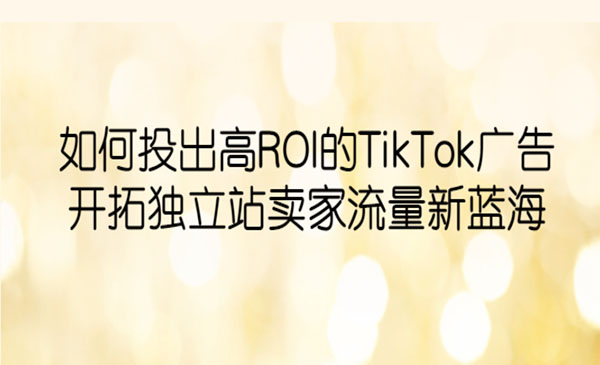 稳哥·《如何投出高ROI·TikTok广告》开拓独立站卖家流量新蓝海