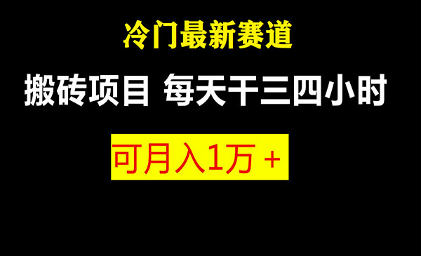 《冷门游戏搬砖项目》附教程+软件