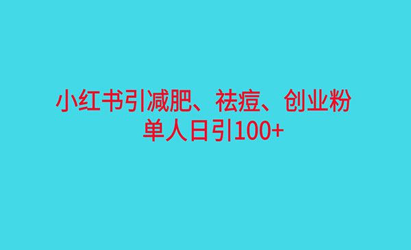 《小红书精准引流》减肥、祛痘、创业粉单人日引100+