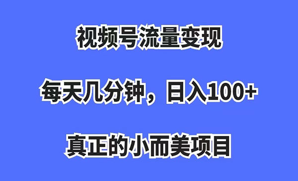 《小而美的视频号流量变现项目》每天几分钟，收入100+