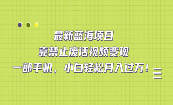 《禁止废话视频变现》一部手机，小白轻松月入过万