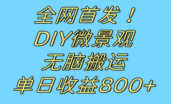 《DIY微景观无脑搬运项目》日收益800+