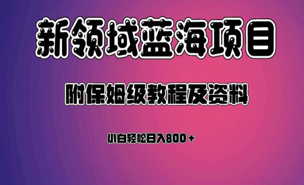 《虚拟资源日入800＋项目》附保姆级教程及资料