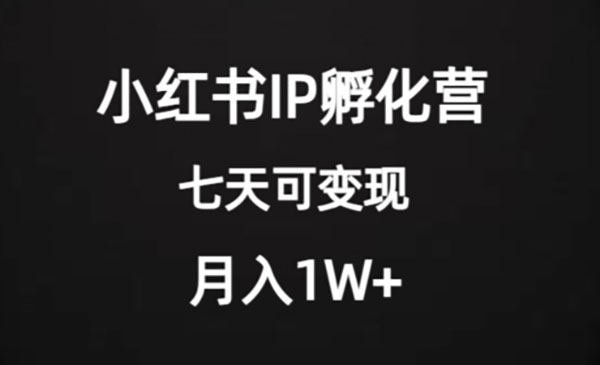 《小红书IP孵化营项目》超级大蓝海，七天即可开始变现，稳定月入1W+