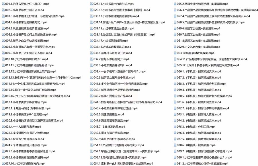 《小红书搞钱训练营》实战落地运营方法，每月多搞2w+