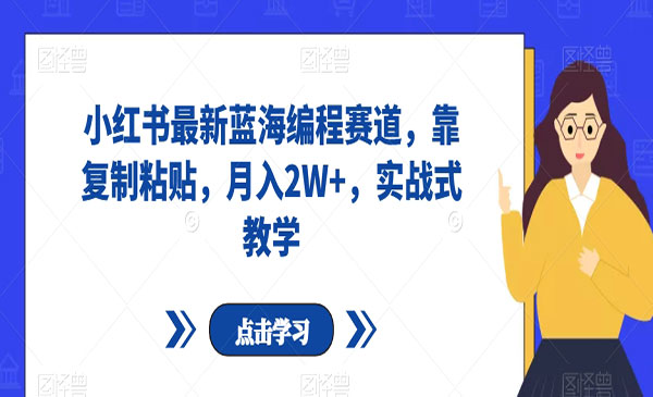 《小红书最新蓝海编程赛道》靠复制粘贴，月入2W+，实战式教学
