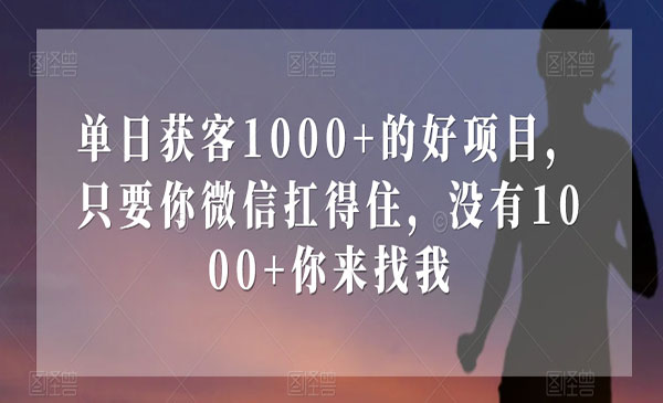 《单日获客1000+的好项目》只要你微信扛得住