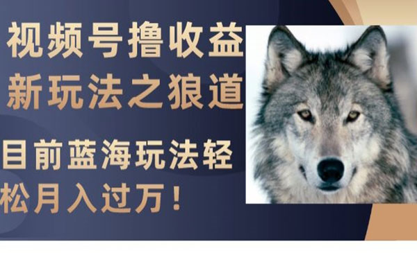 《视频号撸收益新玩法》目前蓝海玩法，轻松月入过万