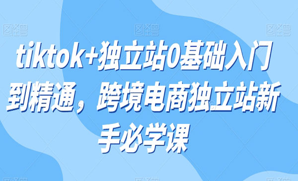 《tiktok+独立站0基础入门到精通》跨境电商独立站新手必学课