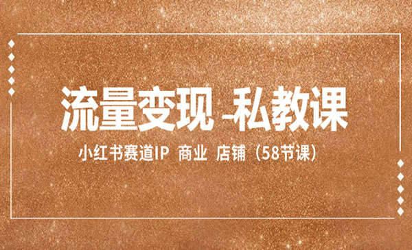 《流量变现私教课》