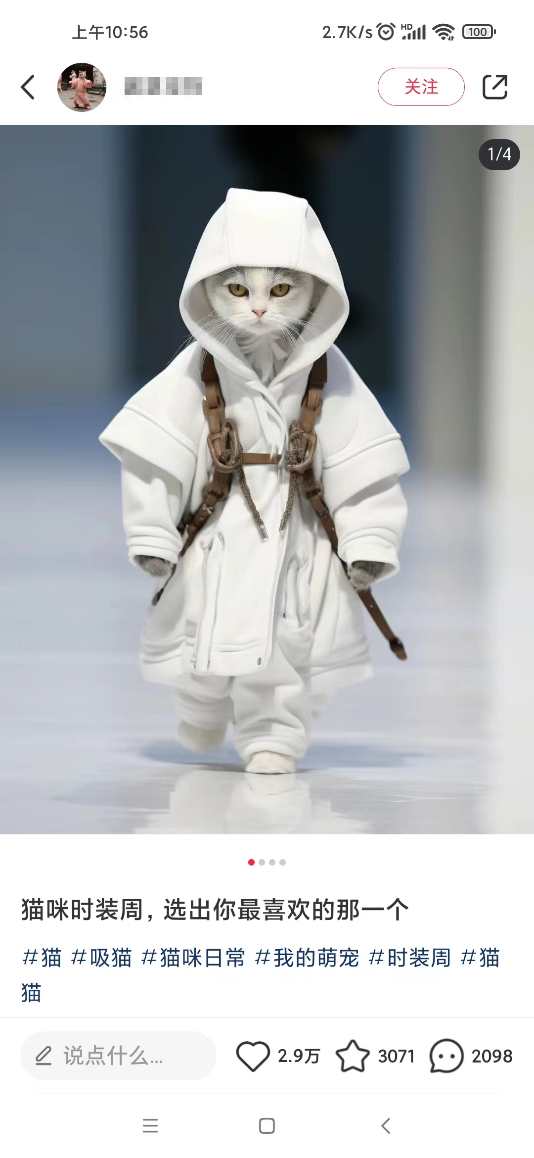 《小红书爆款Animal秀项目》7天变现1W+