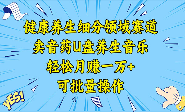 《健康养生细分领域赛道》卖音药U盘养生音乐，轻松月赚一万+，可批量操作
