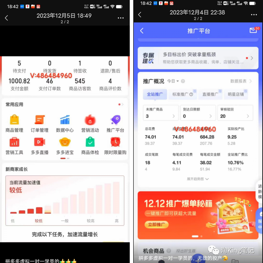 淘king·拼多多虚拟电商项目招募公告