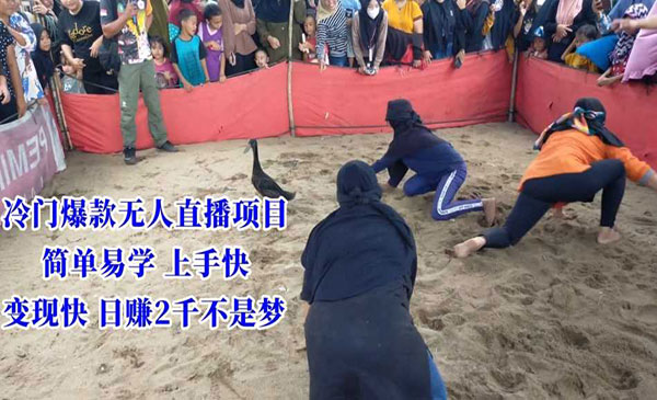 《冷门爆款无人直播项目》简单易学上手快