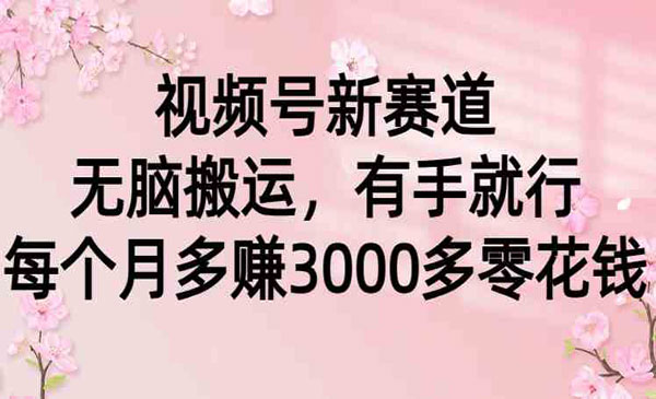 《视频号无脑搬运项目》有手就行，每个月多赚3000零花钱