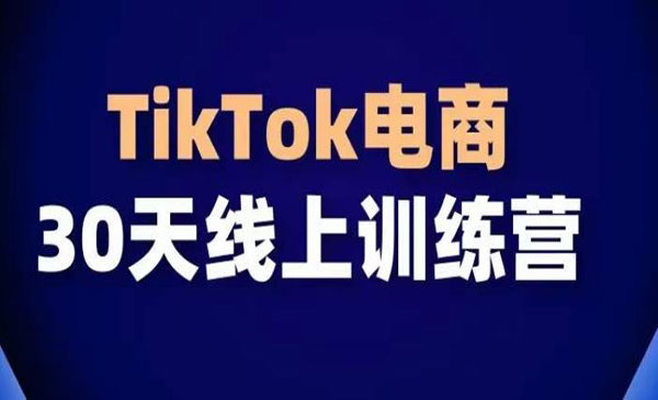 TK大玩家·《TikTok电商带货30天线上课》不可错过的全球流量洼地（29节课）