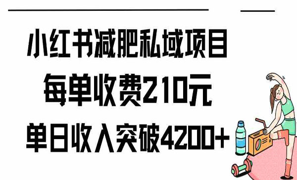 《小红书减肥私域项目》每单收费210元单日成交20单，最高日入4200+
