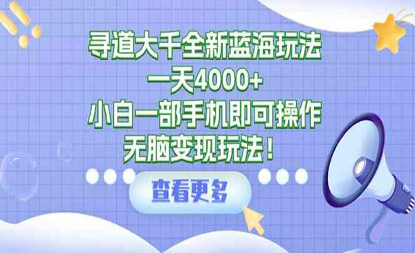 《寻道大千全新蓝海玩法》一天4000+，小白一部手机即可操作