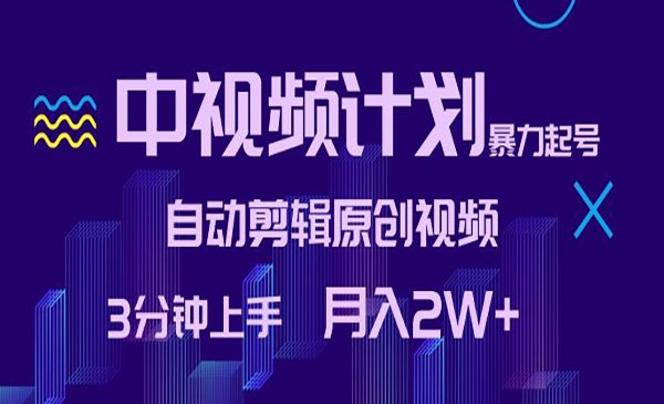 《中视频计划暴力起号》自动剪辑原创视频，3分钟上手，月入2W+