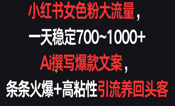 《小红书大流量女粉项目》AI写爆款文案，一天稳定700-1000+