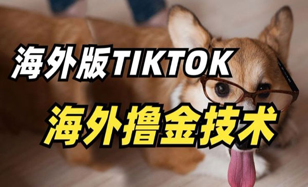 《Tiktok撸金技术》