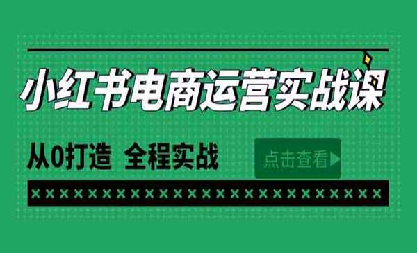 王导主·小红书电商运营，从0打造 全程实战（65节视频课）