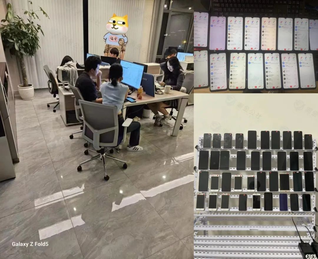 顺势而为 | 全域虚拟电商4.0项目如期而至!