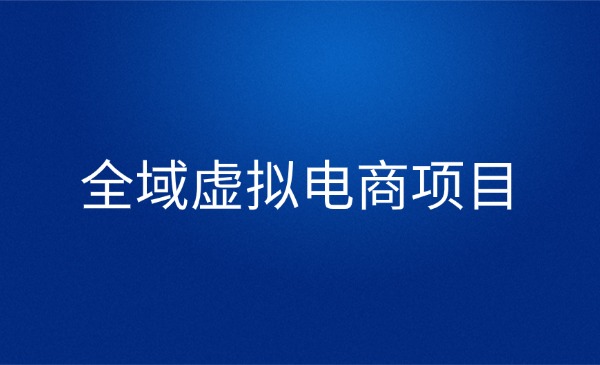 潮金公社-米杰·《全域虚拟电商4.0项目》价值2580！