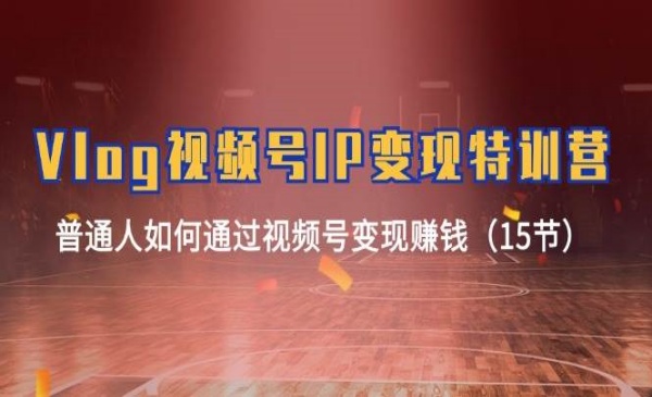 《Vlog视频号IP变现特训营》普通人如何通过视频号变现赚钱（15节）