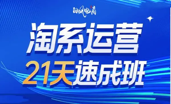 白凤电商《淘系运营21天速成班35期》年前最后一波和2025方向