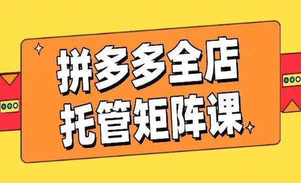 叮当会42期《拼多多全店托管矩阵》盈利动销玩法，高效计划设置，提升店铺效益