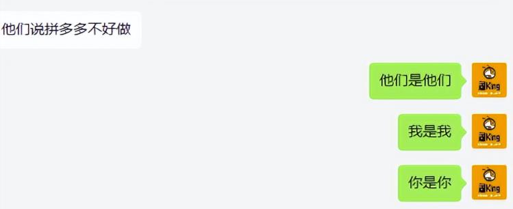 《拼多多虚拟开店打卡群》入门到精通