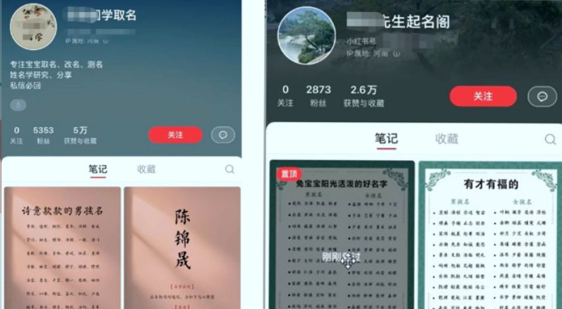 《宝宝起名冷门暴利项目》一单200+,内附教程+工具