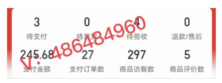 《拼多多虚拟开店打卡群》入门到精通