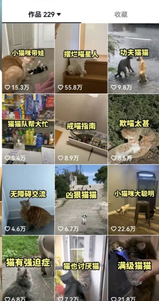 《抖音盘点类中视频变现副业项目》视频版一条龙大解析分享给你