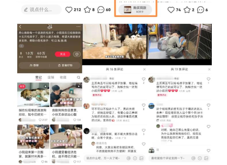 《小红书小动物打赏与购买变现项目》一条龙玩法分享