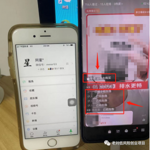 《视频号粗暴玩法》一天利润大几千