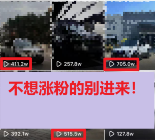 《短视频百万播放保姆式教学》暴力变现