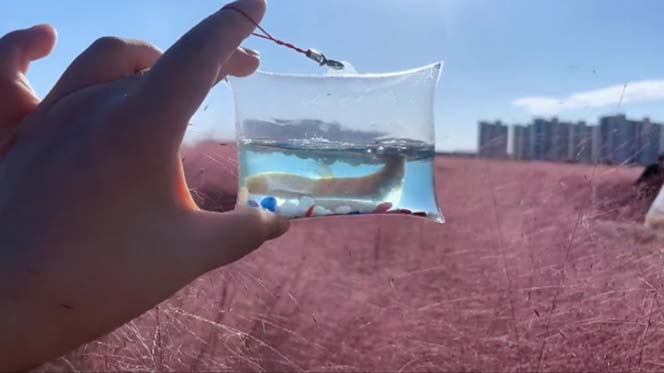 《抖音泡泡鱼手工小成本地摊创业项目》日賺500+项目课程解析